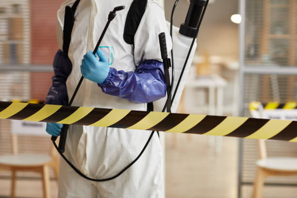 Professional Sewage Cleanup technician working in Hicksville, NY